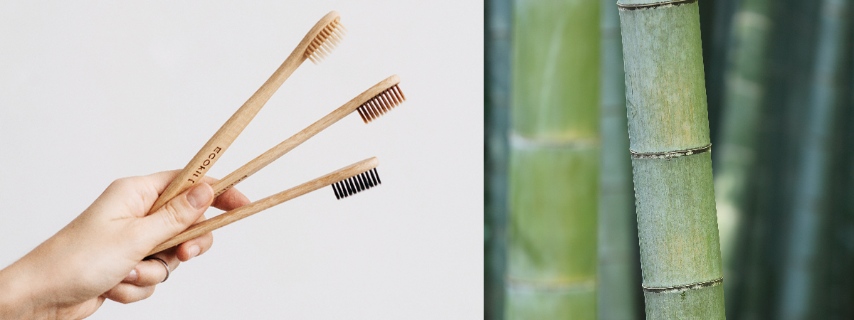 Bamboo Toothbrush